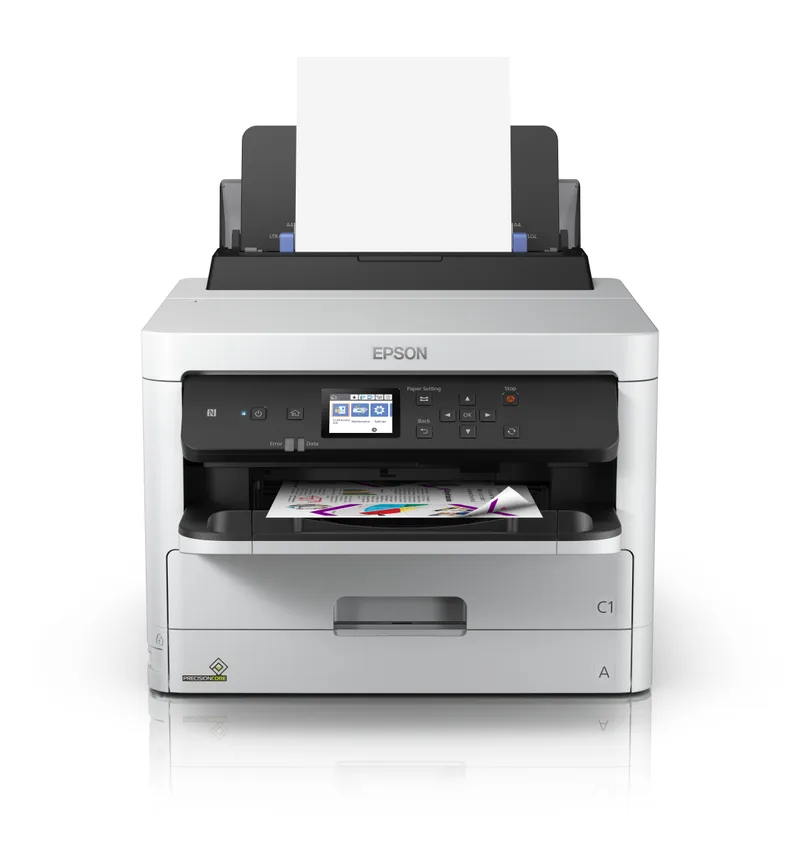 Consumible Cartucho EPSON Modelo T01D Negro, P
