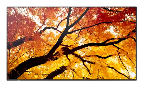 Monitor LED SHARP DISPLAY Monitor Profesional Sharp 75 Pn-M752 UHD 3840 X 2160 24